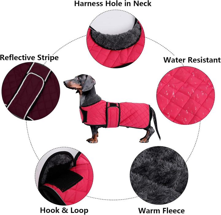 MOREZI Hundemantel Winter für Dackel - Wasserdichter Hunde Pullover mit Wolle Futter & Verstellbaren