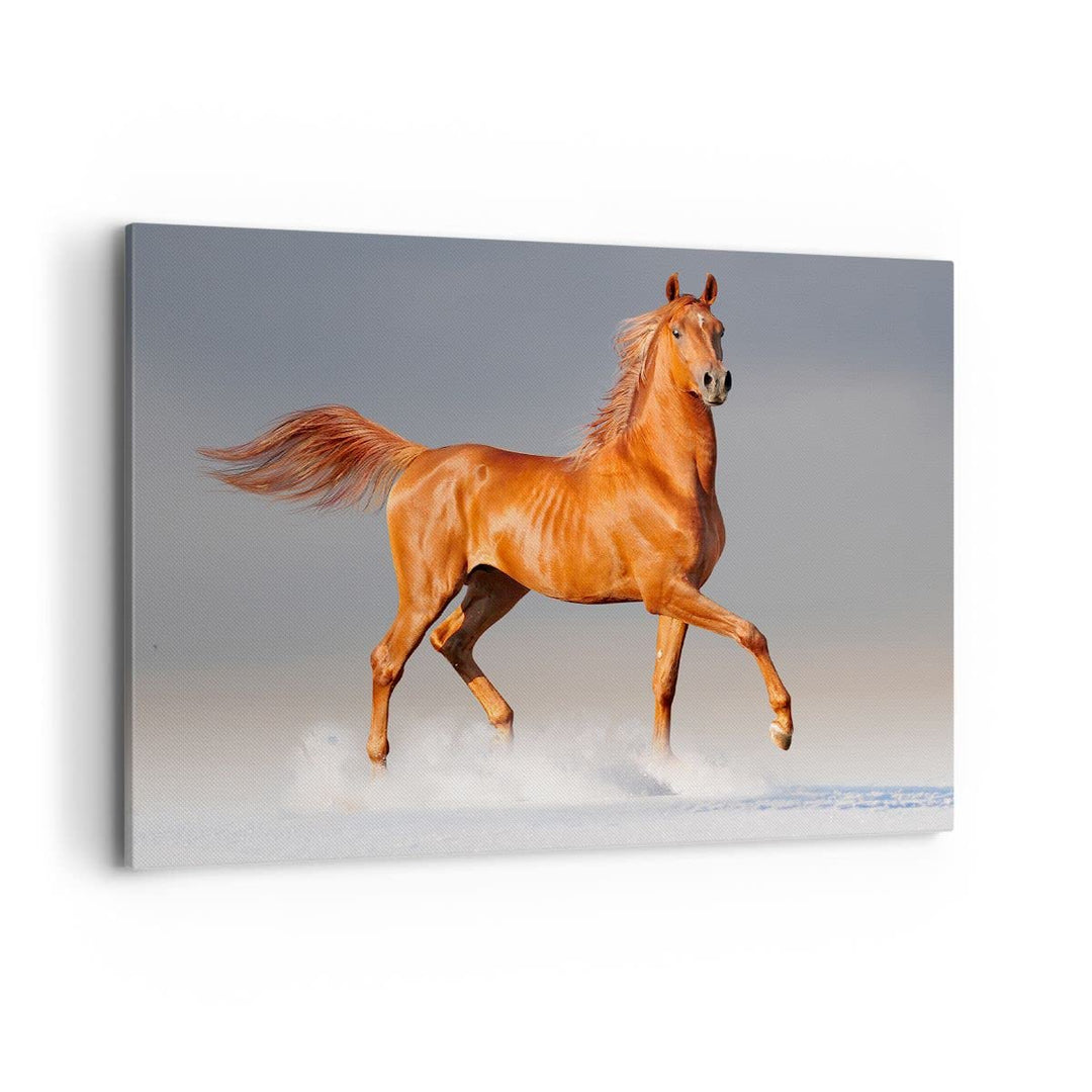Bilder auf Leinwand 100x70cm Leinwandbild Tiere Pferd Galopp Geschwindigkeit Gross Wanddeko Bild Sch