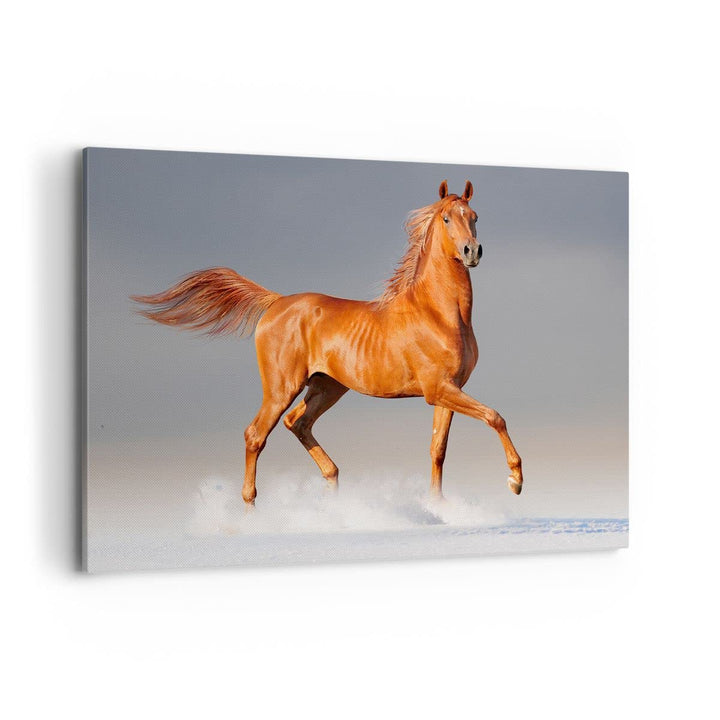 Bilder auf Leinwand 100x70cm Leinwandbild Tiere Pferd Galopp Geschwindigkeit Gross Wanddeko Bild Sch
