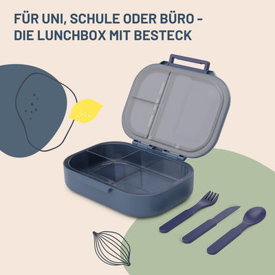 schmatzfatz Lunchbox, Unterteilte Brotdose für Erwachsene & Kinder, Lunchbox mit Fächern, Bento-Box