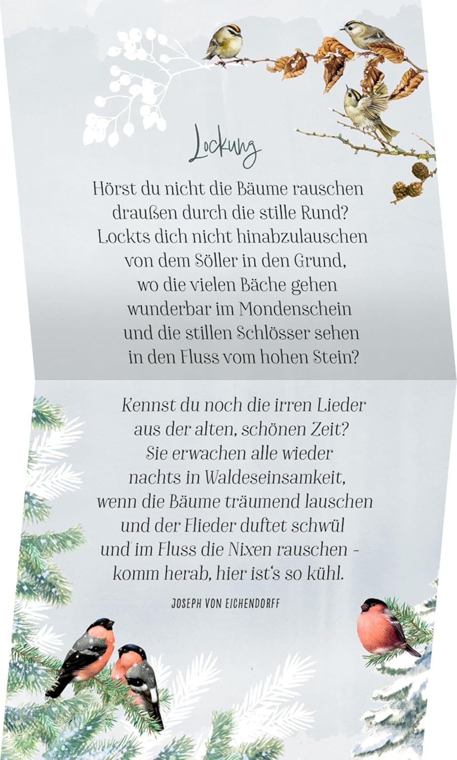 Coffee-Table-Adventskalender – Zauberhafte Weihnachtszeit: 24 Gedichte, Geschichten & Gedanken, Kale