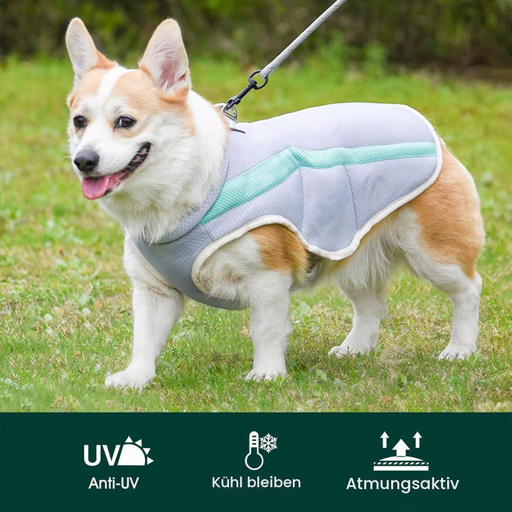 Kuoser Kühlweste für Hunde, Einstellbar &amp; Reflektierender Kühlweste Hund für Heissen Sommertag, Sonn