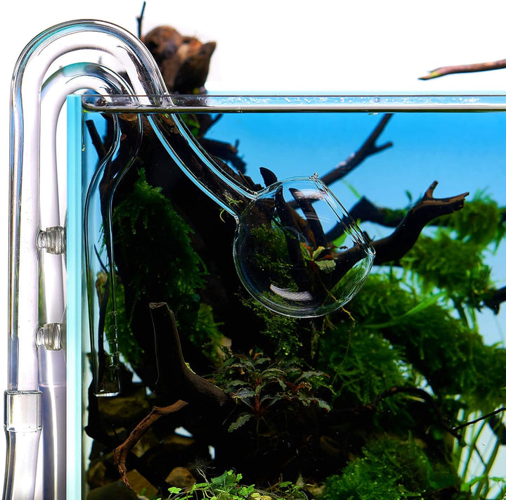 USCAPE Moon Pipe Outflow Glas - Aquarien Filterauslauf Glasware (13mm (12/16mm)), 13mm (12/16mm)