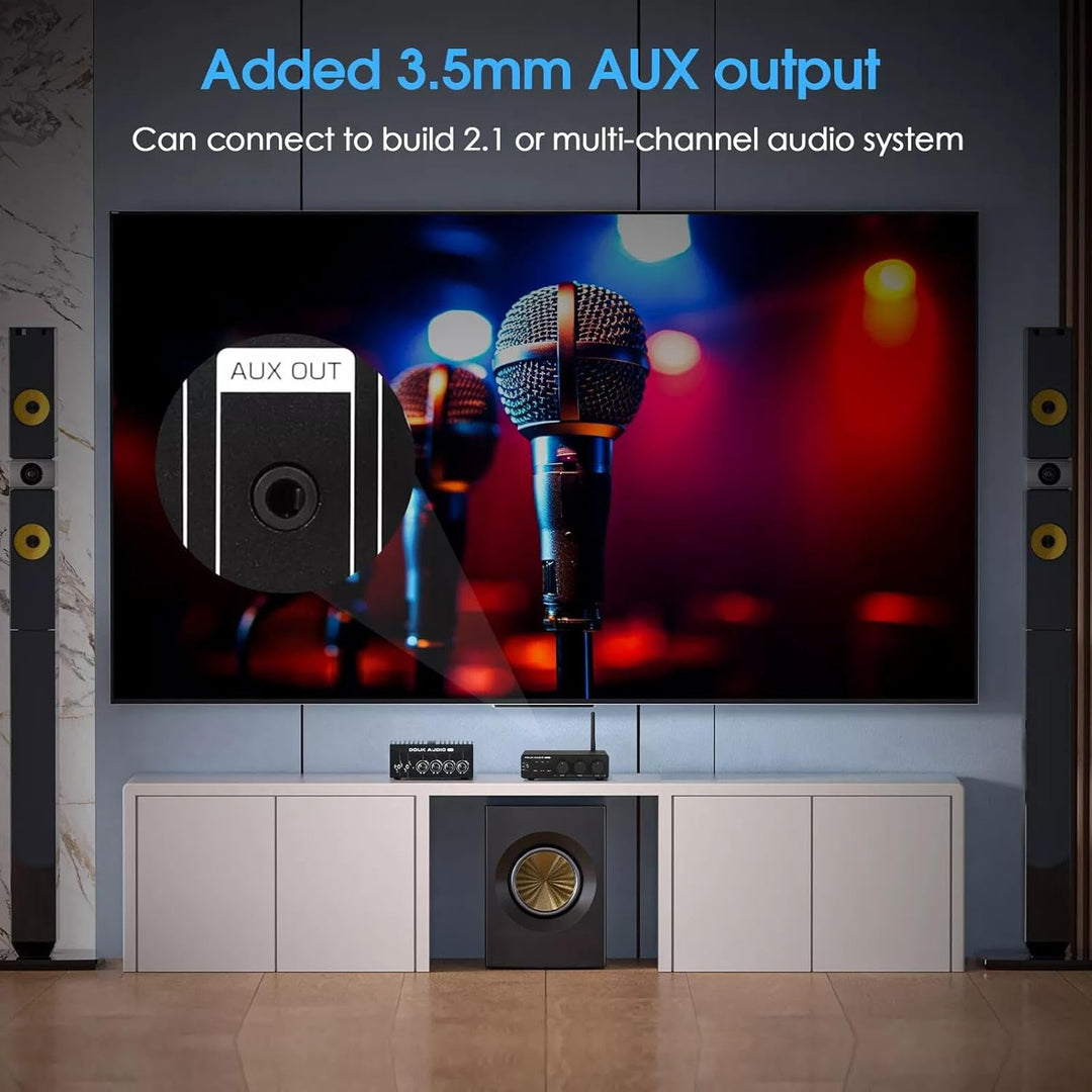 Douk Audio 300Wx2 HiFi Verstärker: TPA3255 Leistungsverstärker Bluetooth Empfänger Heim Stereo Verst