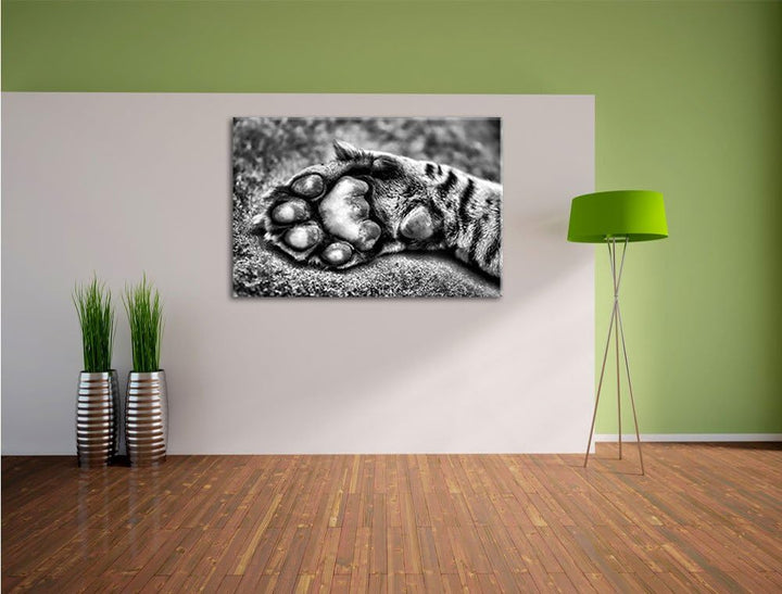 Pixxprint Schöne Katzenpfote / 100x70cm Leinwandbild bespannt auf Holzrahmen/Wandbild Kunstdruck Dek