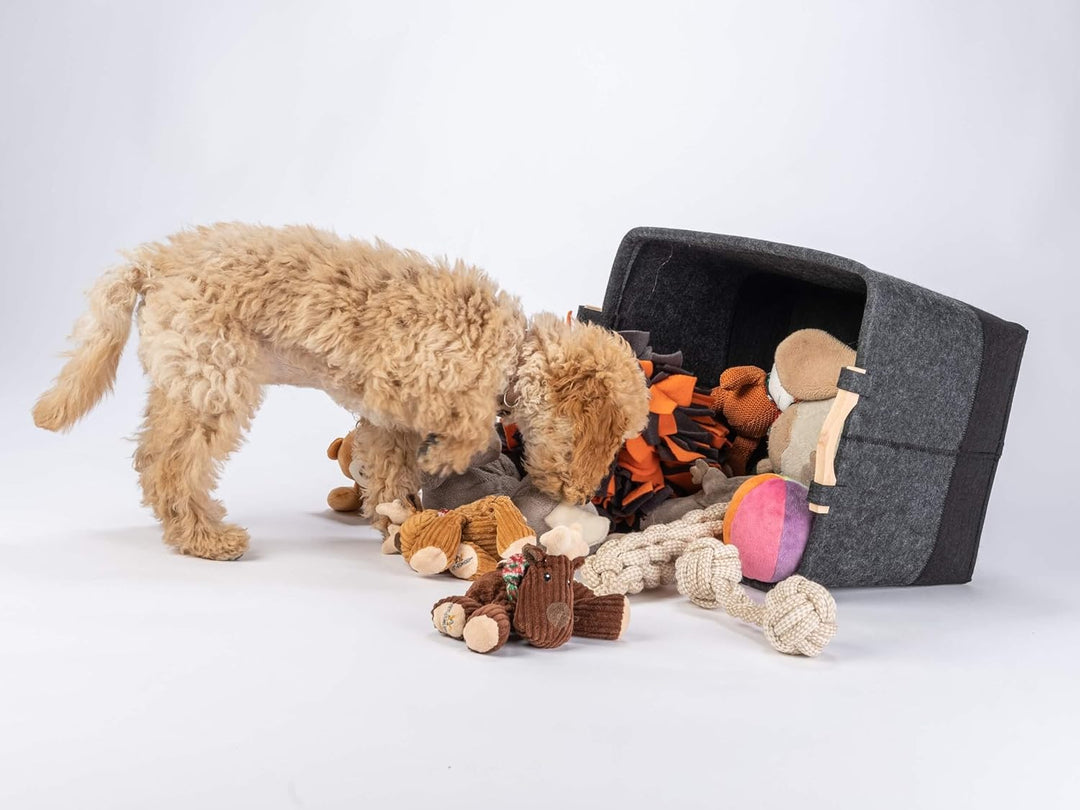 TrendPet MyDogToys Spielzeugkörbchen