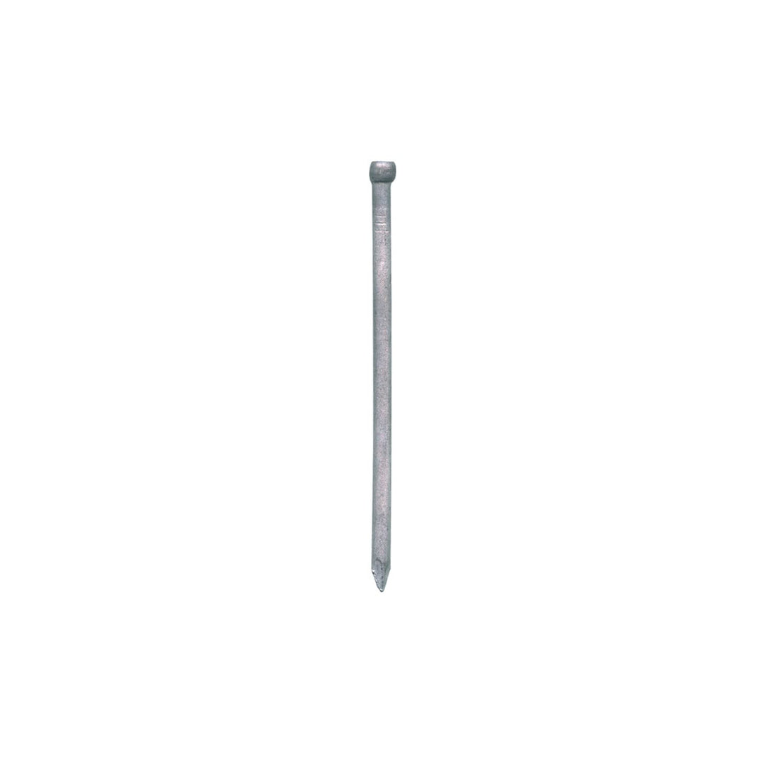 siwitec Wagnerstifte verzinkt 3,1 x 70 mm, 5 kg, Leistenstifte, Drahtstifte mit Stauchkopf, Nägel 3,