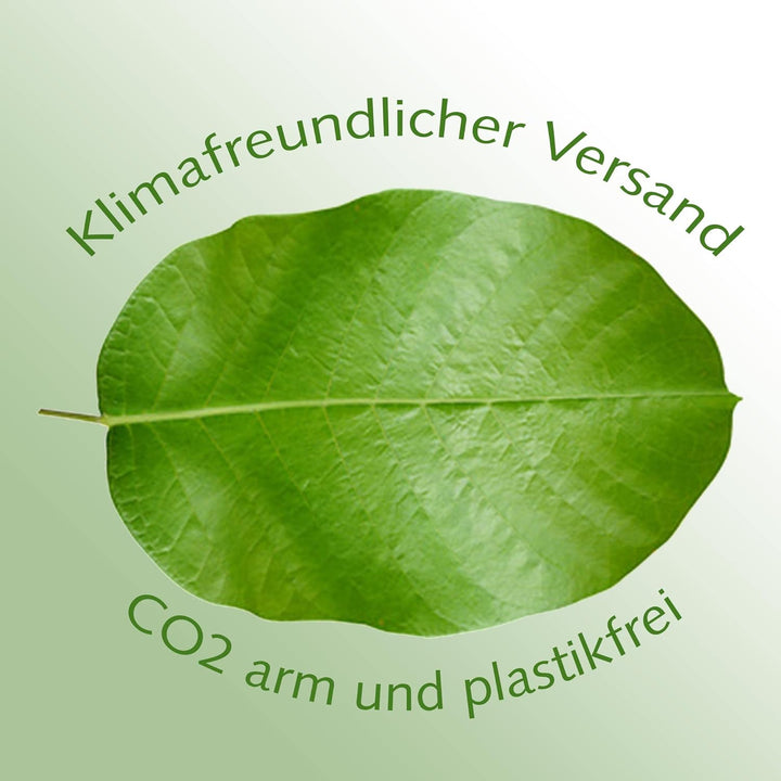 NATUREHOME Unikat aus Olivenholz: Rustikale ovale Astscheibe ca. 30cm nachhaltiges Servierbrett 30 c