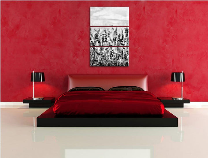Pixxprint Schöner Lavendel im Regen als Leinwandbild/Grösse: 3 Teilig (120x80) cm/Wandbild/Kunstdruc