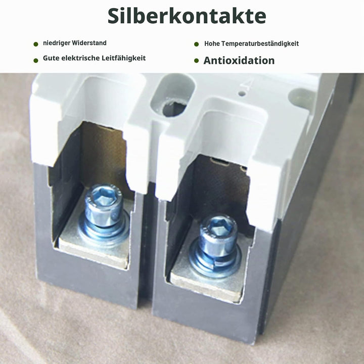 DEWIN DC-Leistungsschalter, Leistungsschalterschutz 2P MCCB Solarbatterieschutzschalter Isolatorschu