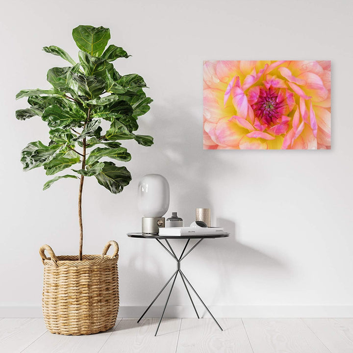 Feeby Wandbild Blume Druckbild Leinwandbild Natur Rosa 100x70 cm Leinwandbild 100x70 cm Rosa_B, Lein