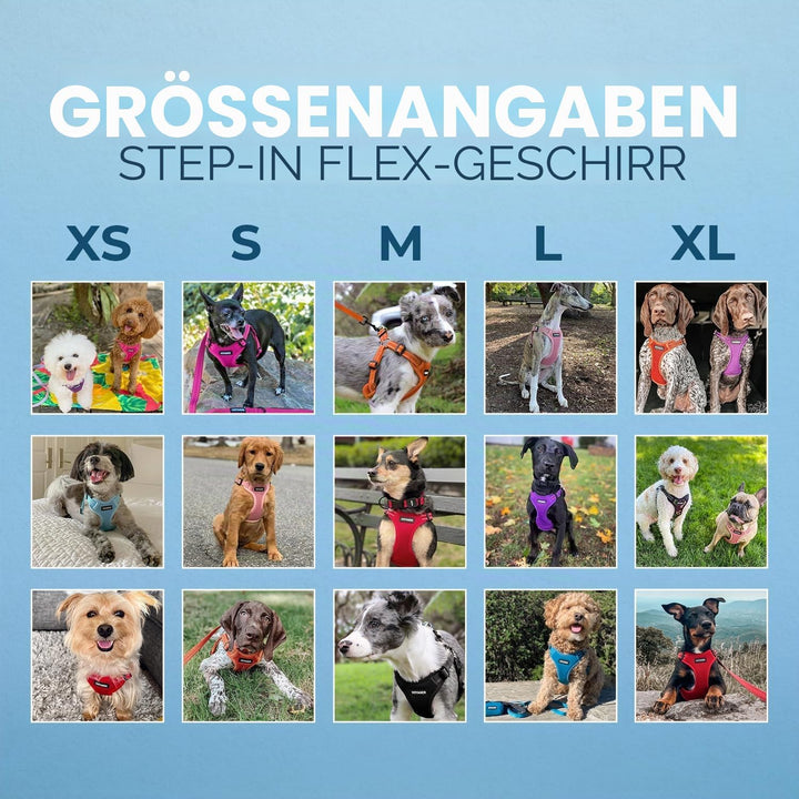 Voyager Verstellbares Hundegeschirr mit Reflektorstreifen by Best Pet Supplies - Strapazierfähige Ga