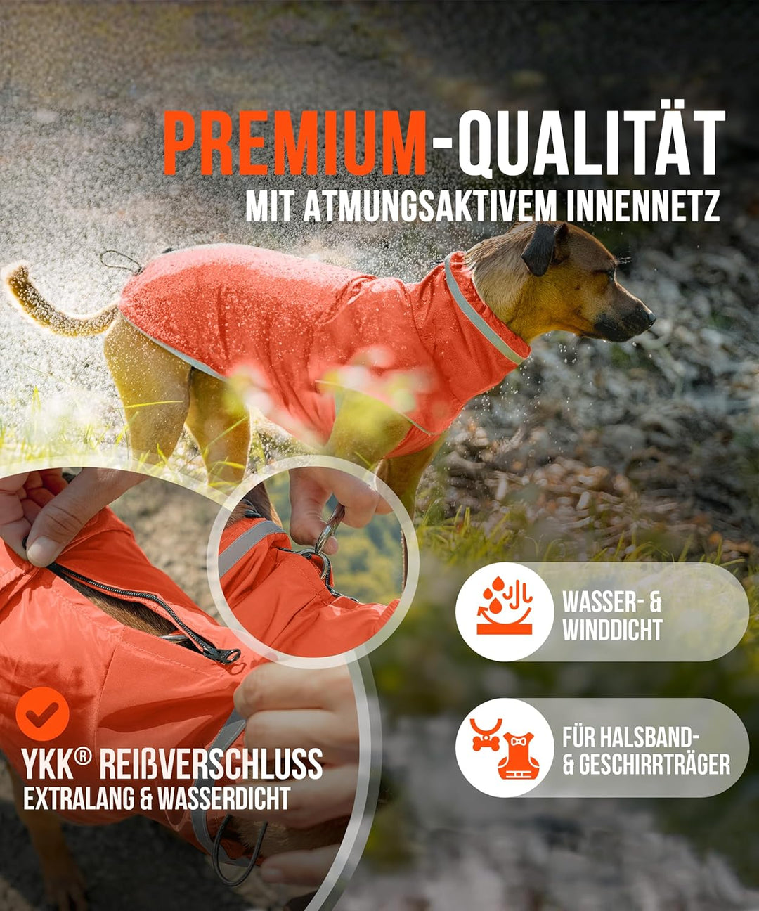 ZAUBERPFOTE® Hunderegenmantel London I Mit extra langem YKK® Reissverschluss für Halsband &amp; Geschirr