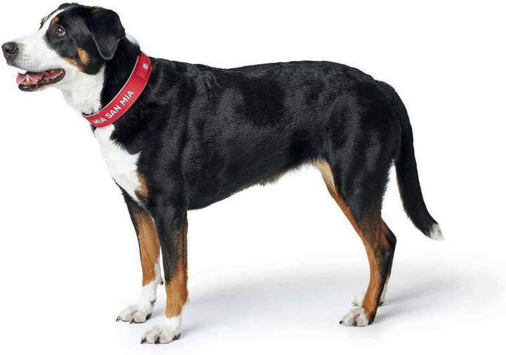Hunter NEOPREN REFLECT FC Bayern München Hundehalsband, M-L (55), rot/grau Rot M-L (55), Rot M-L (55