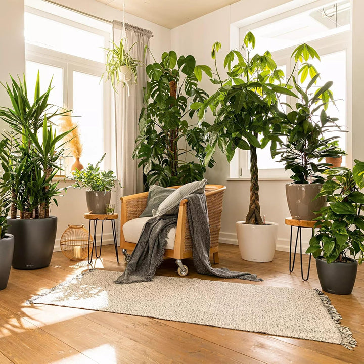 LECHUZA CLASSICO Premium LS 43 taupe hochglanz 16085 43.5x43.5x39.5 cm Taupe Hochglanz Single, 43.5x