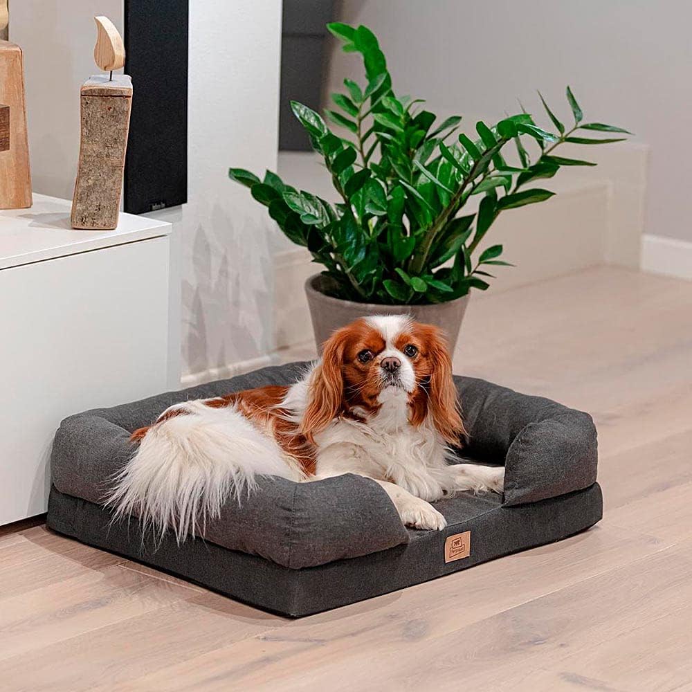 Orthopädisches Bett für Hunde MEMOR-ONE M Memory Foam, 64 x 52 x 16.5 cm, Grau Grau L 64 x B 52 x H