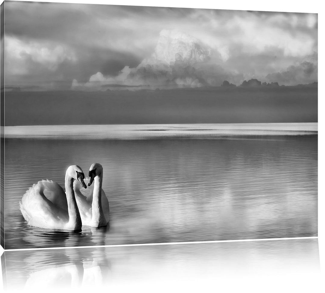 Pixxprint Schwäne in Abenddämmerung / 100x70cm Leinwandbild bespannt auf Holzrahmen/Wandbild Kunstdr