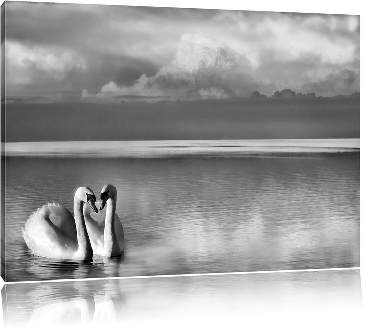 Pixxprint Schwäne in Abenddämmerung / 100x70cm Leinwandbild bespannt auf Holzrahmen/Wandbild Kunstdr