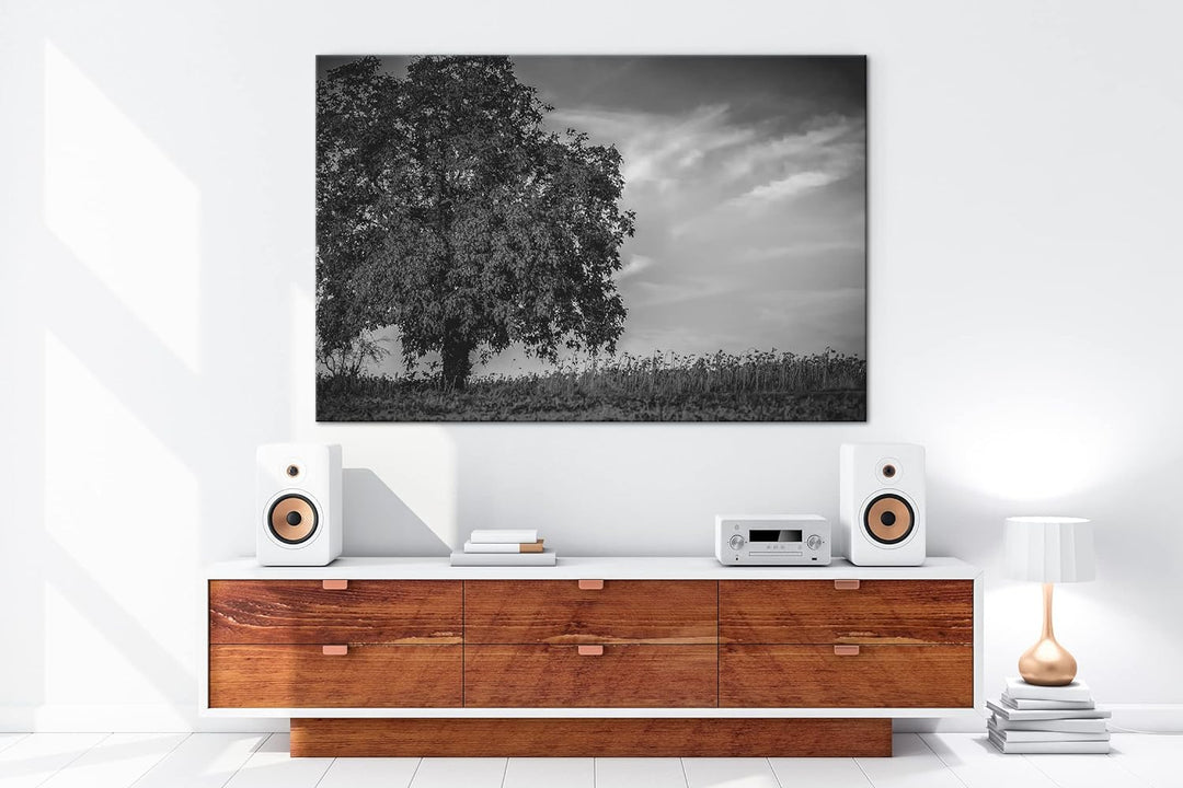 deyoli Herbstliche Landschaft Format: 80x60 als Leinwand, Effekt: Schwarz&Weiss, Motiv fertig gerahm