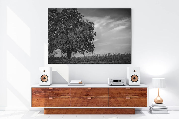 deyoli Herbstliche Landschaft Format: 80x60 als Leinwand, Effekt: Schwarz&Weiss, Motiv fertig gerahm