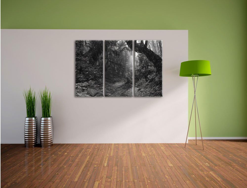 Pixxprint Mystischer Regenwald als Leinwandbild/Grösse: 3 Teilig (120x80 cm) cm/Wandbild/Kunstdruck/