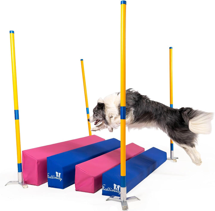 Callieway Agility Soft-Weitsprung - FCI konform (inkl. 4 Ecksteher in orange) blau/himbeer inkl. Eck