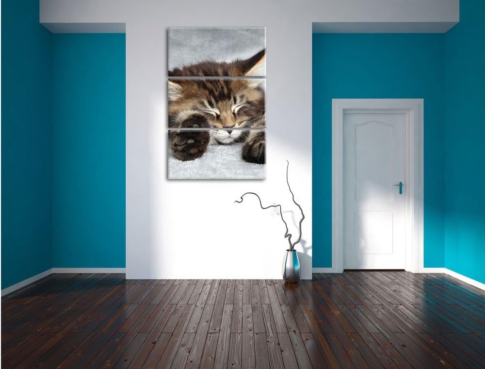 Pixxprint Süsse Baby Katze als Leinwandbild/Grösse: 3 Teilig (120x80) cm/Wandbild/Kunstdruck/fertig