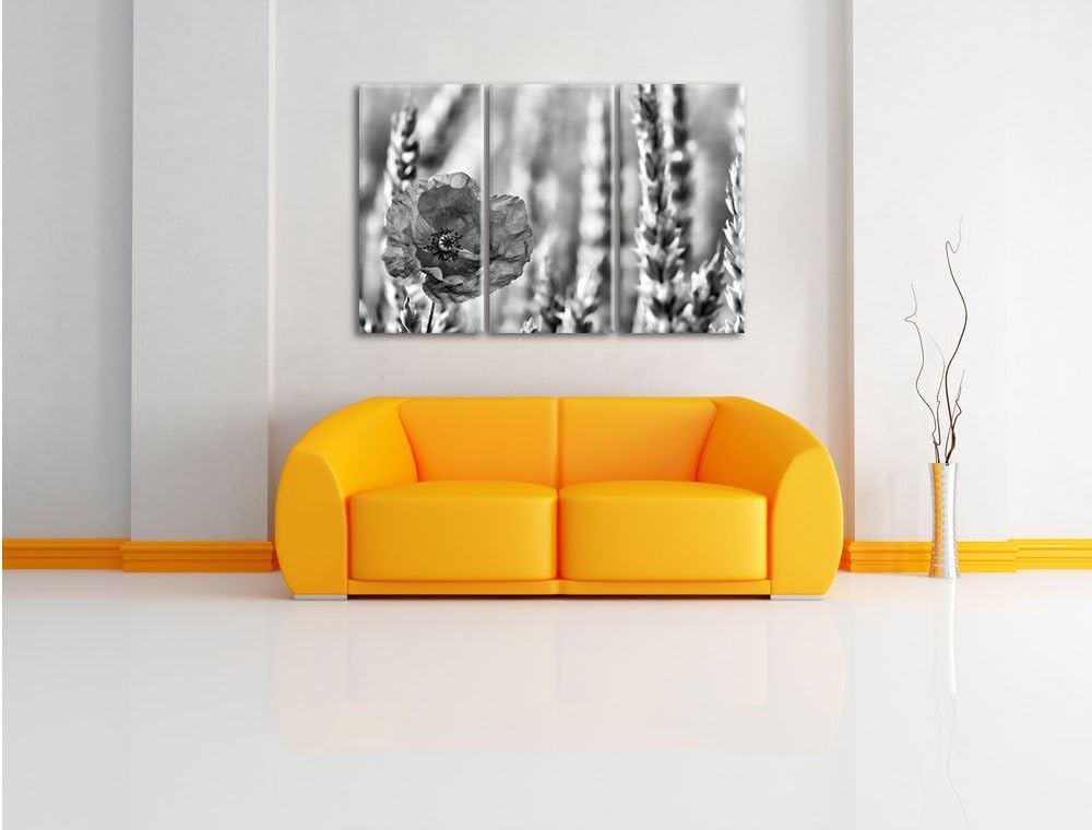 Pixxprint Mohnblume im Kornfeld als Leinwandbild/Grösse: 3 Teilig (120x80) cm/Wandbild/Kunstdruck/fe
