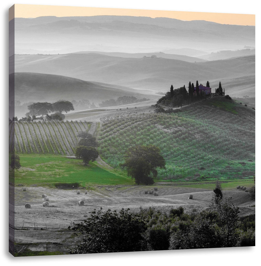 Pixxprint herrliche Toskana Landschaft als Leinwandbild Quadratisch/Grösse: 70x70 / Wandbild/Kunstdr