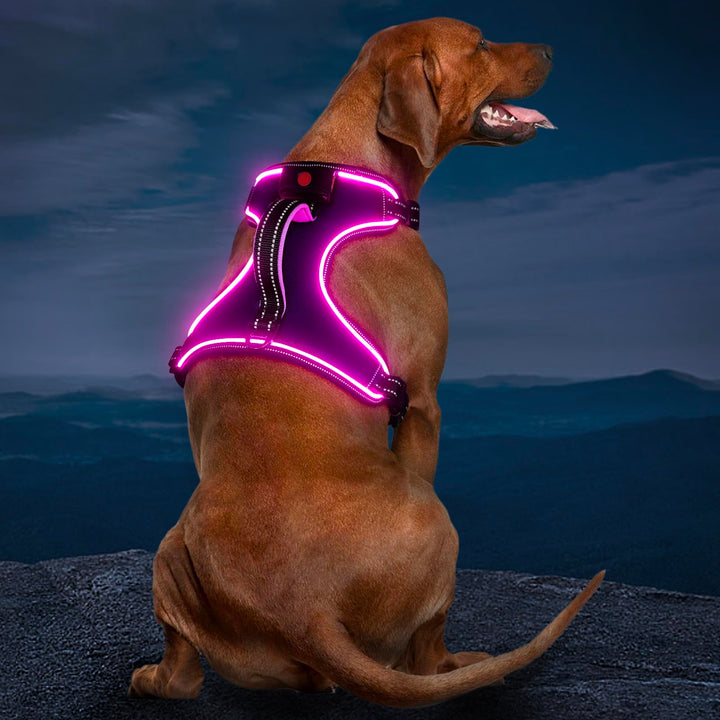 Hundegeschirr Leuchtend Wiederaufladbares Leuchtgeschirr für Hunde Led Beleuchtetes Hundegeschirr fü