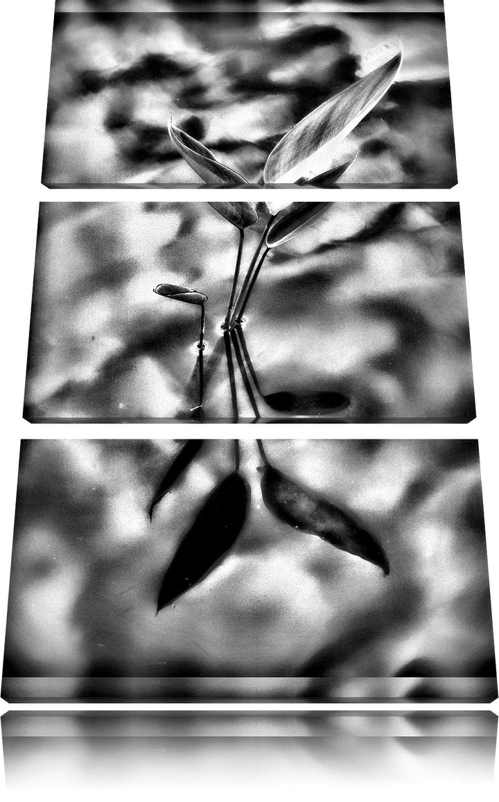 Pixxprint grüne Blätter im Wasser als Leinwandbild/Grösse: 3 Teilig (120x80) cm/Wandbild/Kunstdruck/