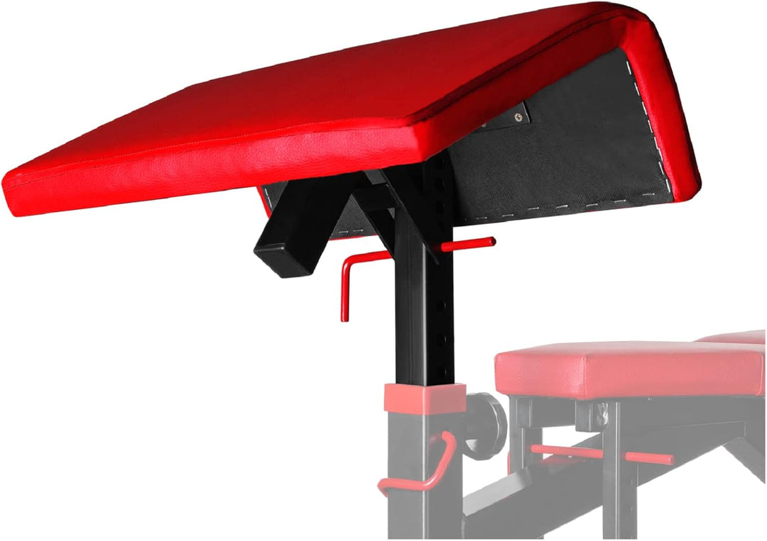 Scottbank Curlbank verstellbar Bizepsbank für Kelton- Bank Curlpult Ablage HZ6