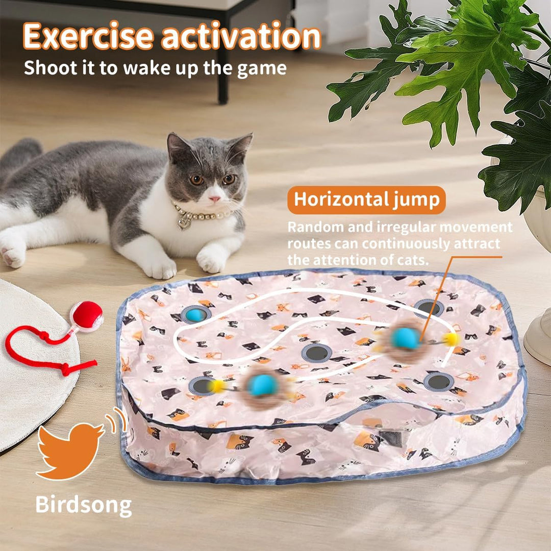 Interaktive Haustierspielkugeln Set mit Matten-Mäusefangspiel für Katzen und Hunde 2 Spielkugeln Hin