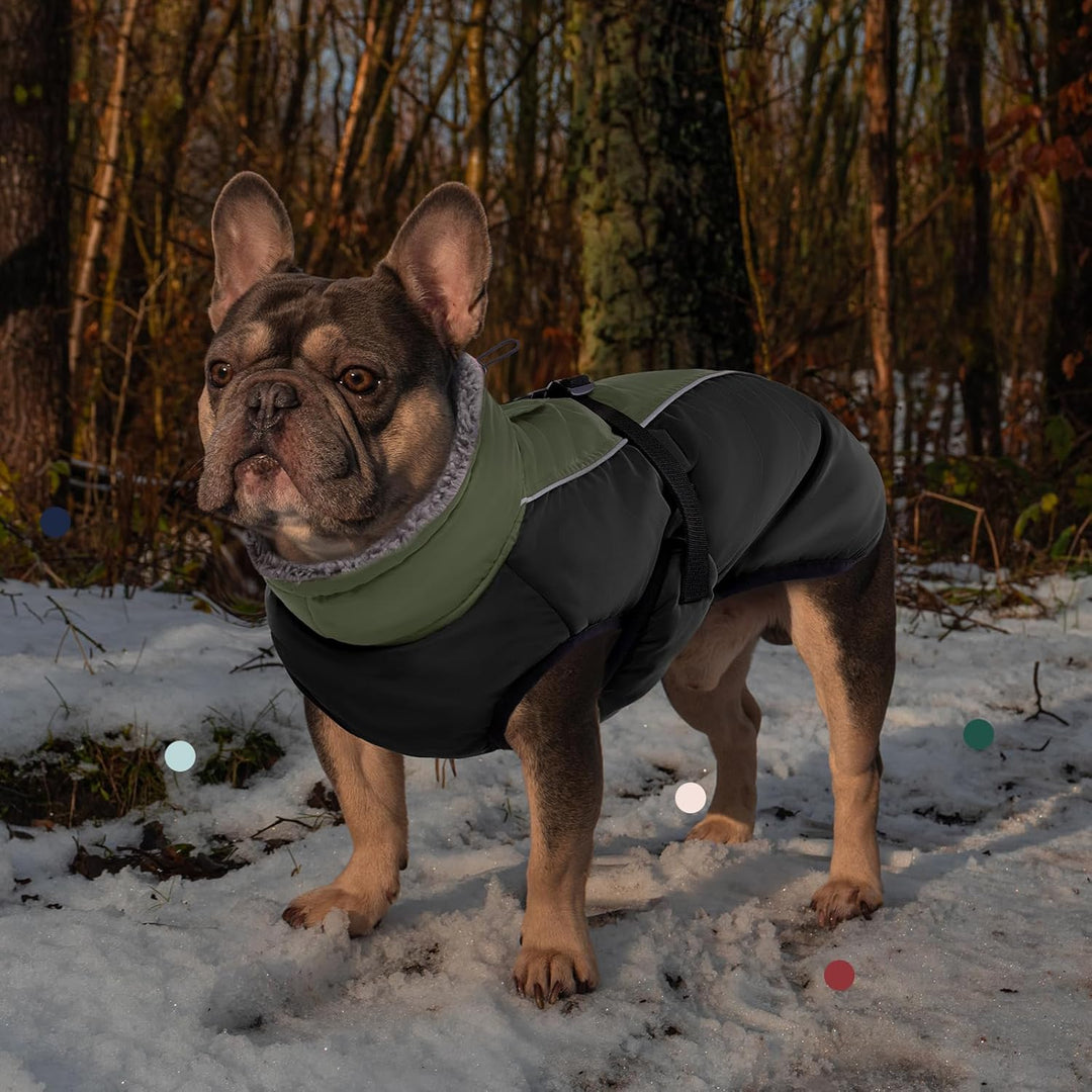 IECOii Hundemantel Winter,Warme Fleece Rollkragen Hundejacke,Wasserdicht Winterjacken Wintermäntel f