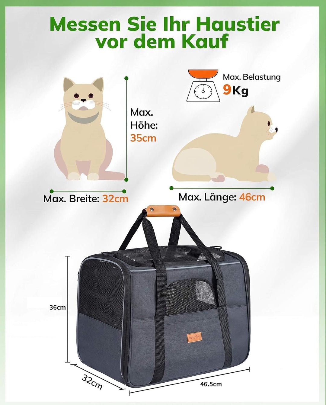 Morpilot Katzentransportbox für grosse Katzen und Welpen bis 7kg, Katzenbox Hundetasche mit Sicherhe