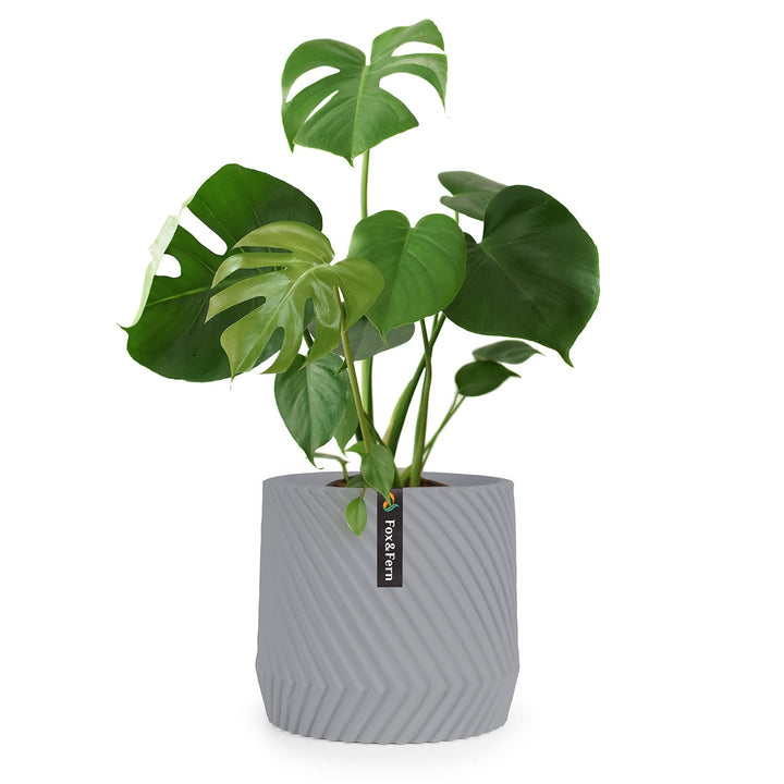 Fox&Fern Übertopf L mit 3D Riffelung - Blumentopf Gross inkl. Wasserabfluss - Blumentopf hoch 27cm -