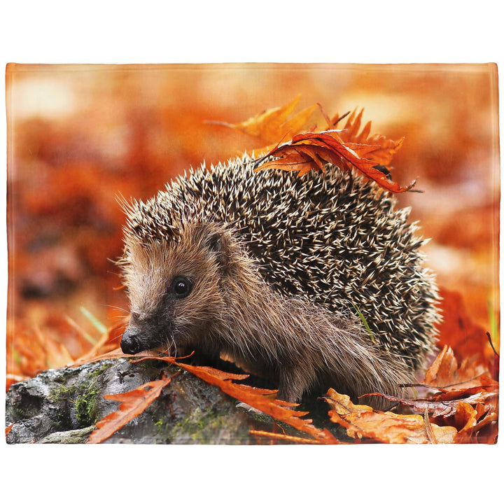 YISUMEI Tiermotiv Kuscheldecke Grauer Igel Weich Bequem Kunstfell Decke Kuscheldecken für Couch Bett