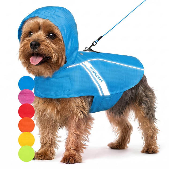 VIVAGLORY Hunderegenmantel für kleine Hunde, einfach an- und ausziehbare Regenbekleidung, reflektier