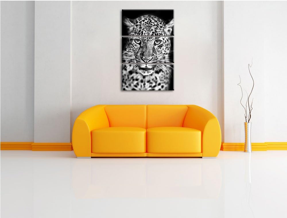 Pixxprint Stolzer Leopard als Leinwandbild/Grösse: 3 Teilig (120x80) cm/Wandbild/Kunstdruck/fertig b