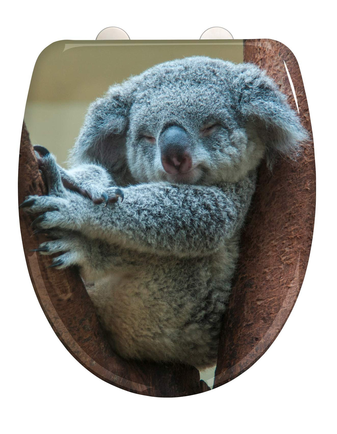WENKO WC-Sitz Koala, hygienischer Toilettendeckel mit Absenkautomatik, Toilettensitz aus bruchsicher