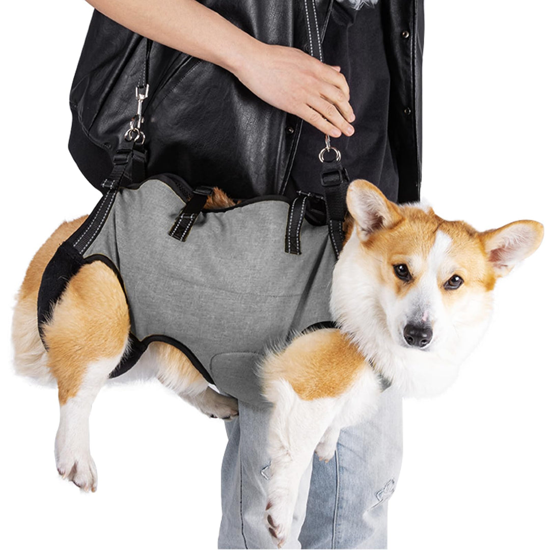 LUCKY LUCY Hundegeschirr mit Griff, Verstellbare Hunde-Tragehilfe für Hinterbeine & Vorderlauf-Stütz