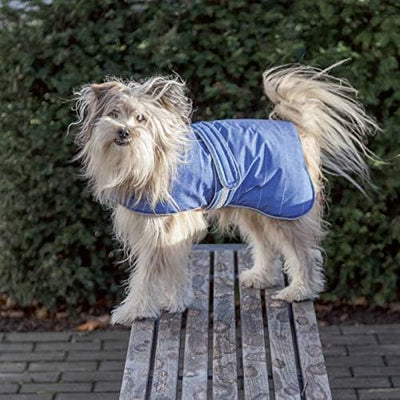 TRIXIE Belfort Hundemantel blau 55 cm(1er Pack), blau 55 cm(1er Pack)