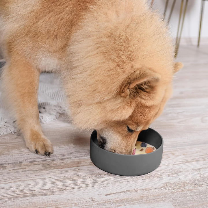 ne&amp;no® Silikon Fressnapf 1200 ml für kleine und mittelgrosse Hunde | Futternapf Hund rutschfest | Hu