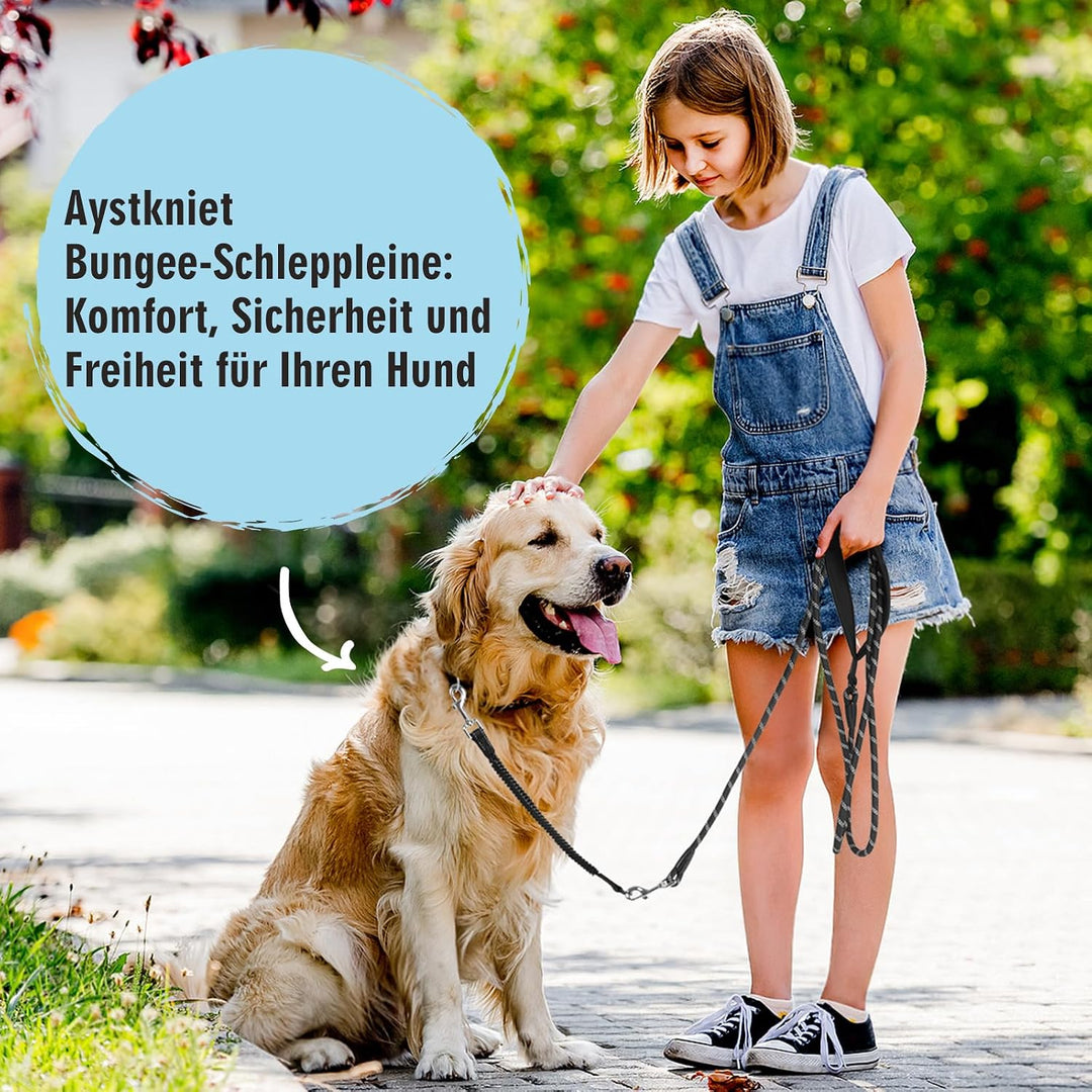 Aystkniet Schleppleine 30M für Hunde, Hundeleine mit Abnehmbare Elastische Kordel | Abschliessbarer
