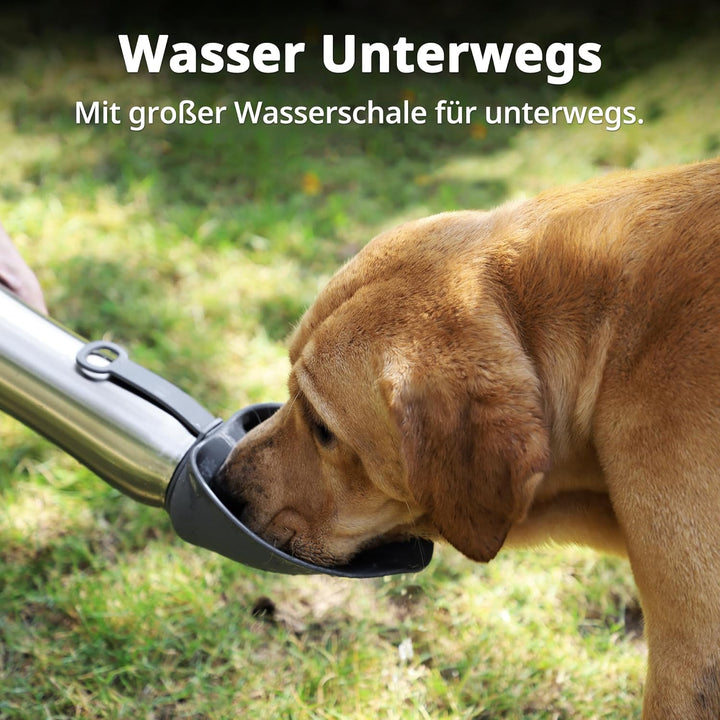 Petace Hunde Trinkflasche für Unterwegs, 750 ml Isolierte Edelstahl Hundetrinkflasche, Tragbare Wass