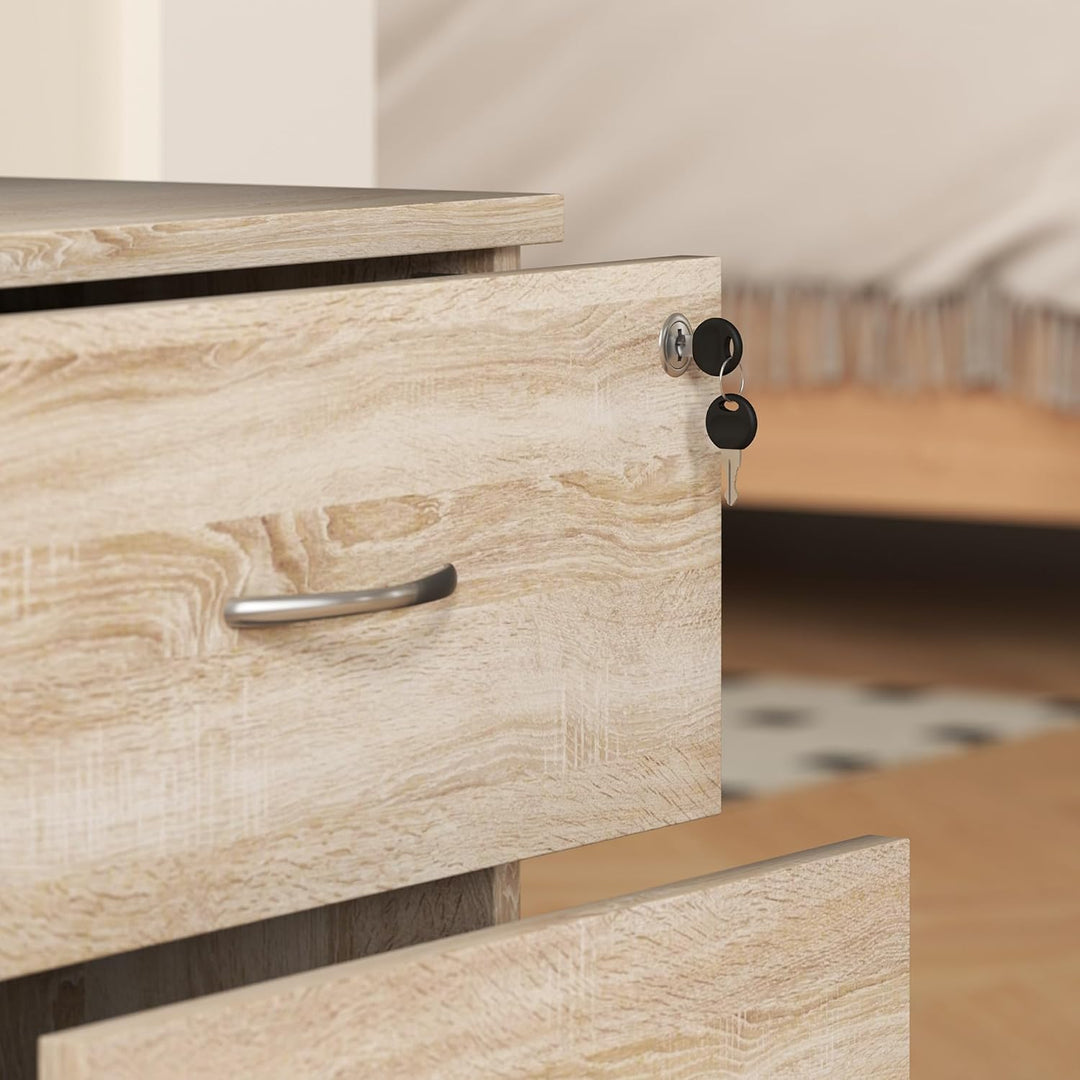 HOMCOM Abschliessbarer Aktenschrank mit 2 Schubladen, mobiler Aktenschrank für Home Office, kleiner