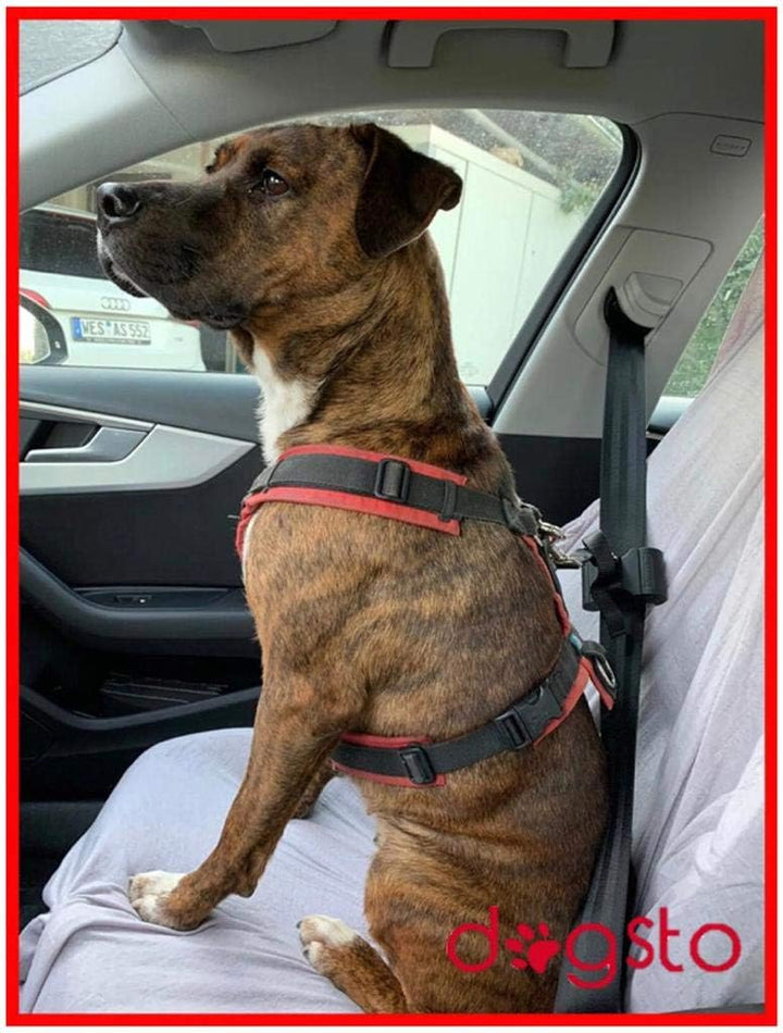 Dogsto Hunde Sicherheitsgurt für jedes Auto mit mittiger Befestigung am Sicherheitsgurt - Ideale