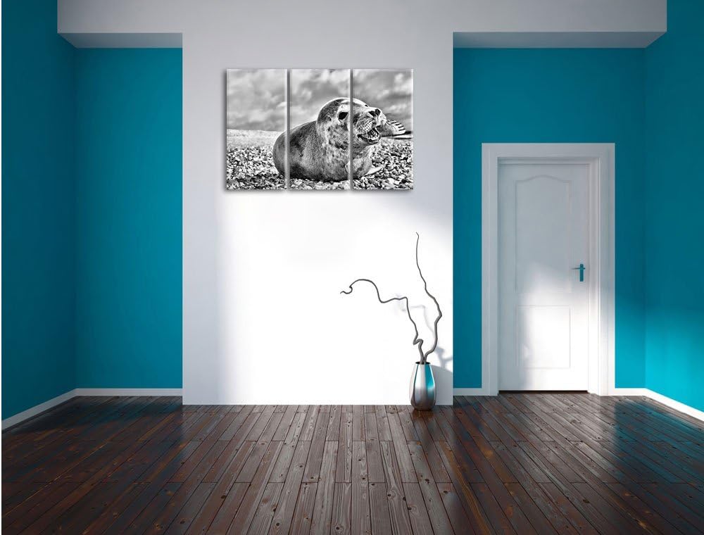 Pixxprint Monocrome, Süsse Robbe auf Steinstrand 3-Teiler Leinwandbild 120x80 Bild auf Leinwand