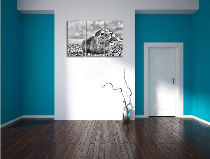 Pixxprint Monocrome, Süsse Robbe auf Steinstrand 3-Teiler Leinwandbild 120x80 Bild auf Leinwand