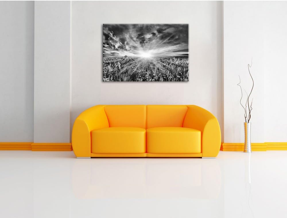 Pixxprint Blühende Mohnwiese / 100x70cm Leinwandbild bespannt auf Holzrahmen/Wandbild Kunstdruck Dek